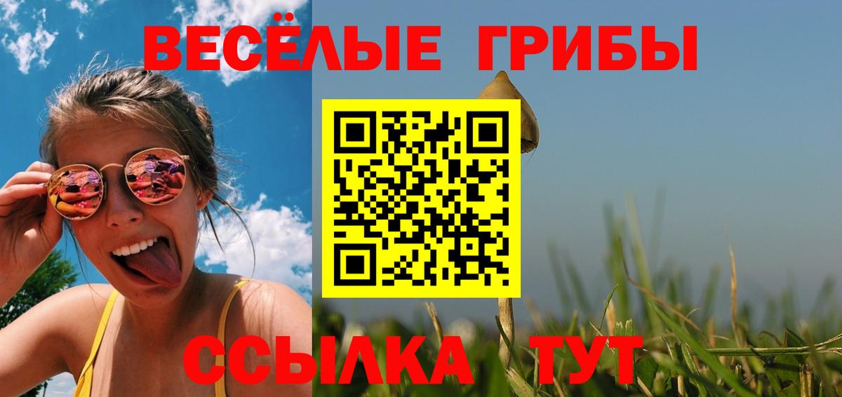 Коряжма  Галлюциногенные грибы мухоморы  Вход с VPN 